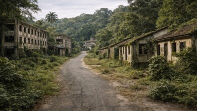 Cracked roads run through the jungle-covered remains of Fordlândia, a failed industrial experiment where imported ideals collided with local realities, leaving concrete blocks slowly reclaimed by the Amazon.
